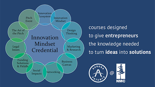 NMC Innovation Mindset Credential Legal Issues